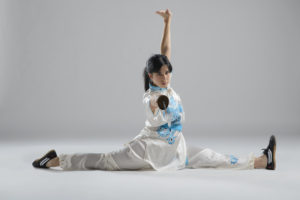 Artes Marciales ©