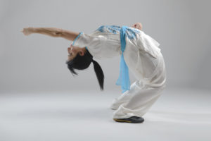 Artes Marciales ©